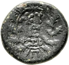 coin rev