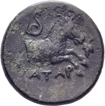 coin rev