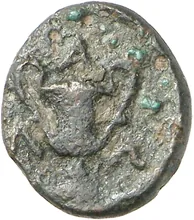 coin rev