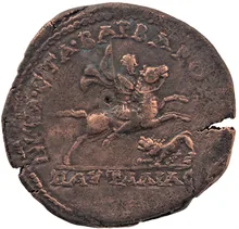 coin rev