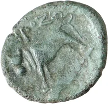 coin rev