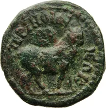 coin rev