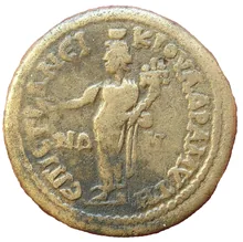 coin rev