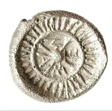 coin rev