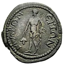 coin rev