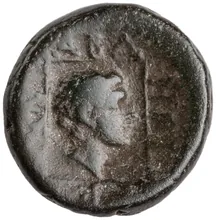 coin rev