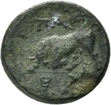coin rev