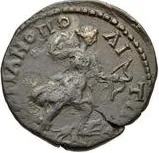 coin rev