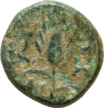 coin rev