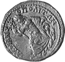 coin rev