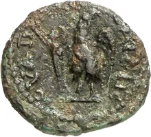 coin rev