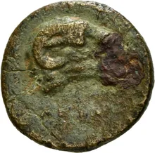 coin rev