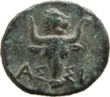coin rev