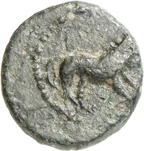 coin obv