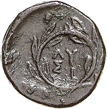 coin rev