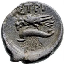 coin rev