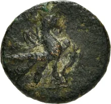 coin rev