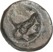 coin obv