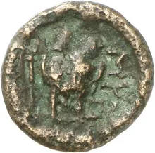 coin rev