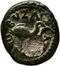 coin rev