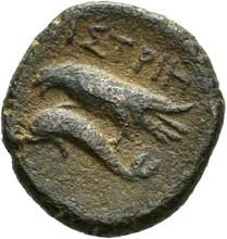 coin rev