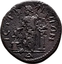 coin rev