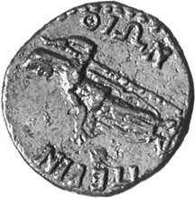 coin rev