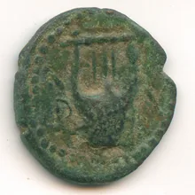 coin rev