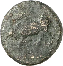 coin obv