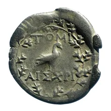 coin rev