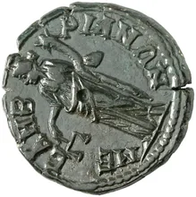 coin rev