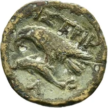 coin rev
