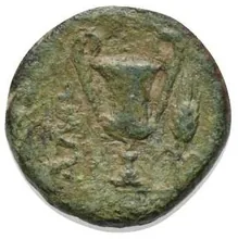 coin rev