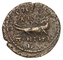 coin rev