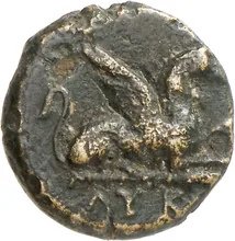 coin obv