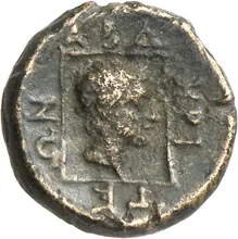 coin rev
