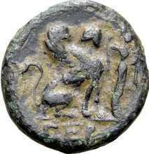 coin rev