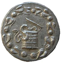 coin obv