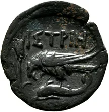 coin rev