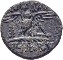 coin rev