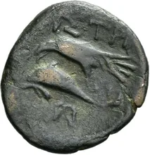 coin rev