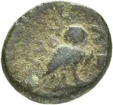 coin rev