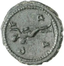 coin rev
