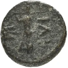 coin rev