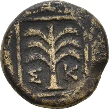 coin rev