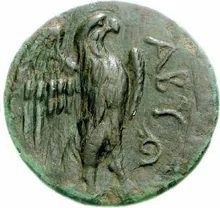 coin rev