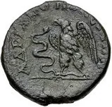 coin rev