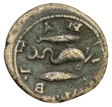 coin rev