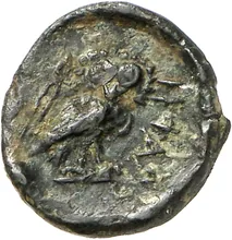 coin rev