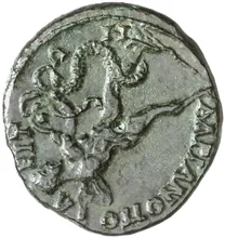 coin rev